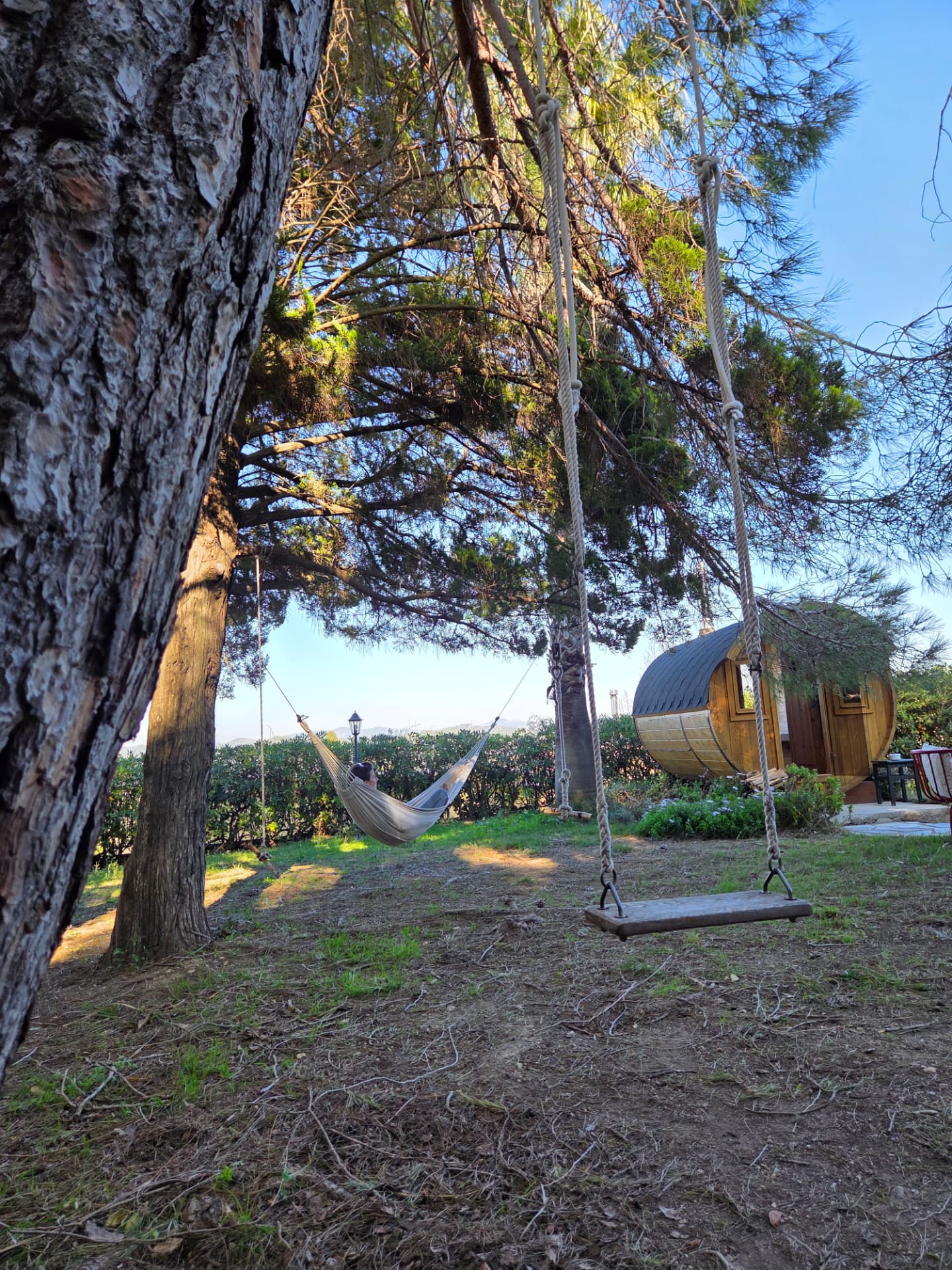 Hamac et balançoire sous les pins, sauna nordique en fond