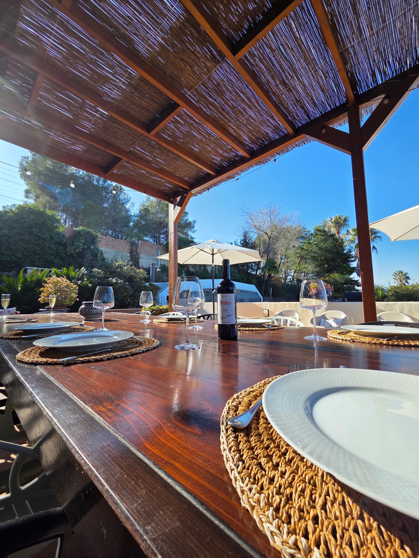 Notre terrasse ombragée