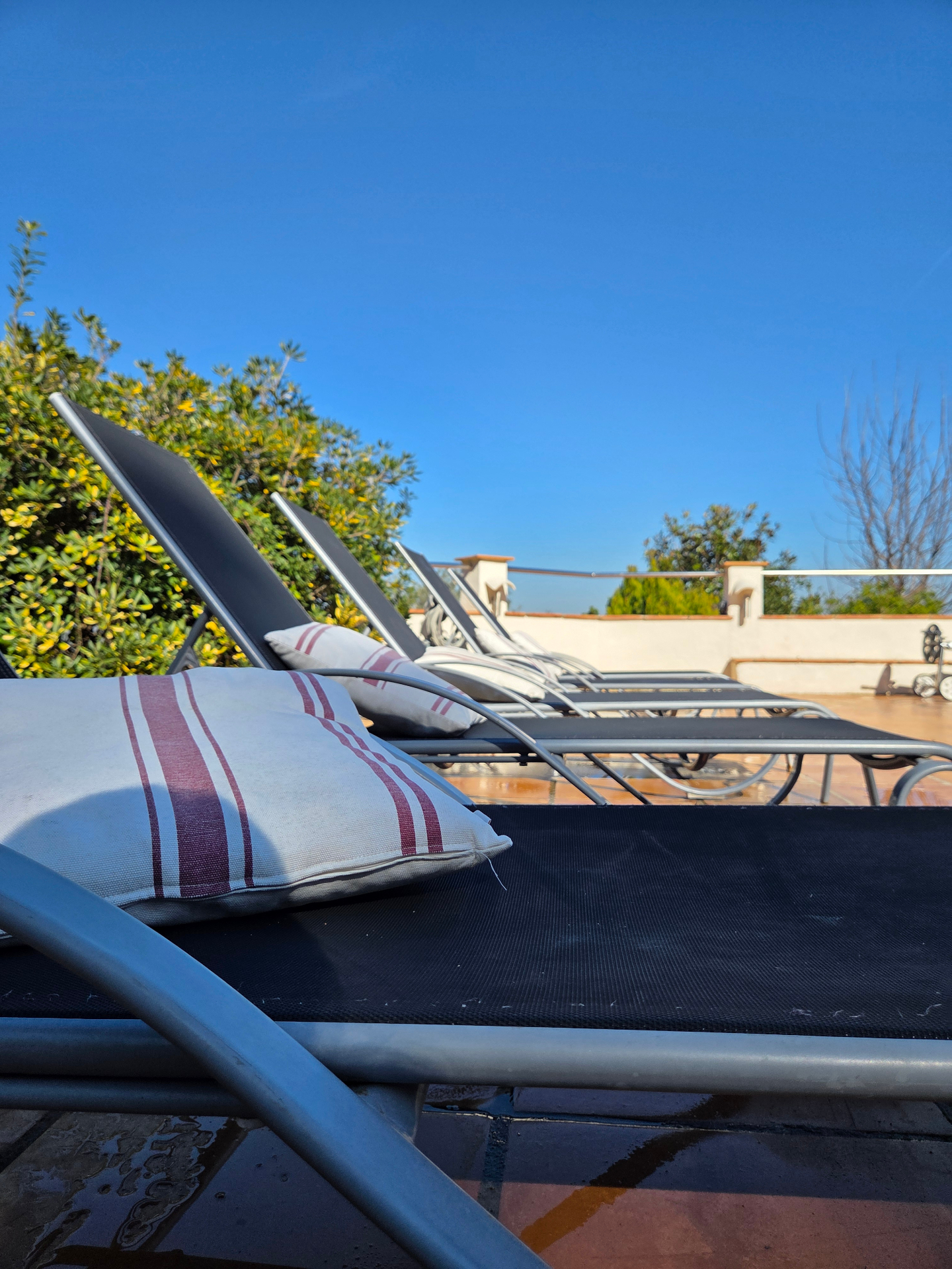 Transats et coussins au bord de la piscine