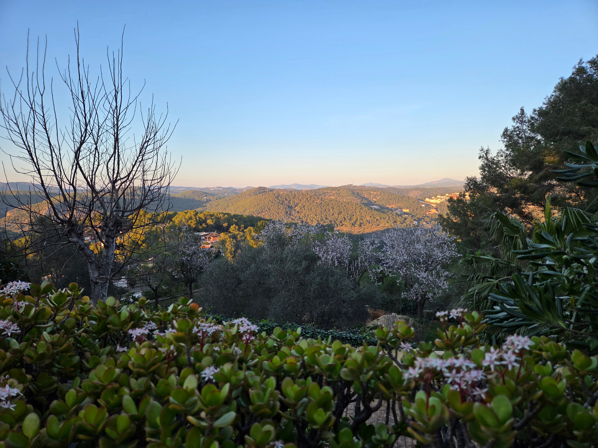 Vue sur les collines catalanes